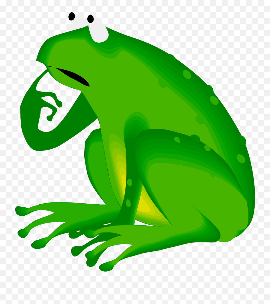 Frog Clipart Preschool Frog Preschool Transparent Free For - Frog Thinking Clipart Emoji,Frog Clipart
