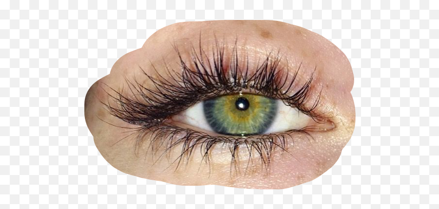 Prettyeyes Eyes Eye Png Pngs Sticker By Victoria Emoji,Green Eyes Png