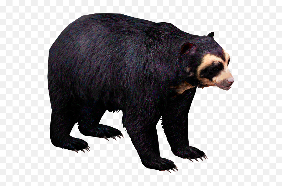 California Spectacled Bear Sciifii Fanon Wiki Fandom Emoji,California Bear Png