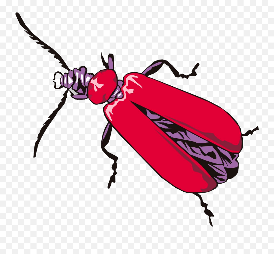 Cardinal Beetle Clipart - Drawing Emoji,Cardinal Clipart