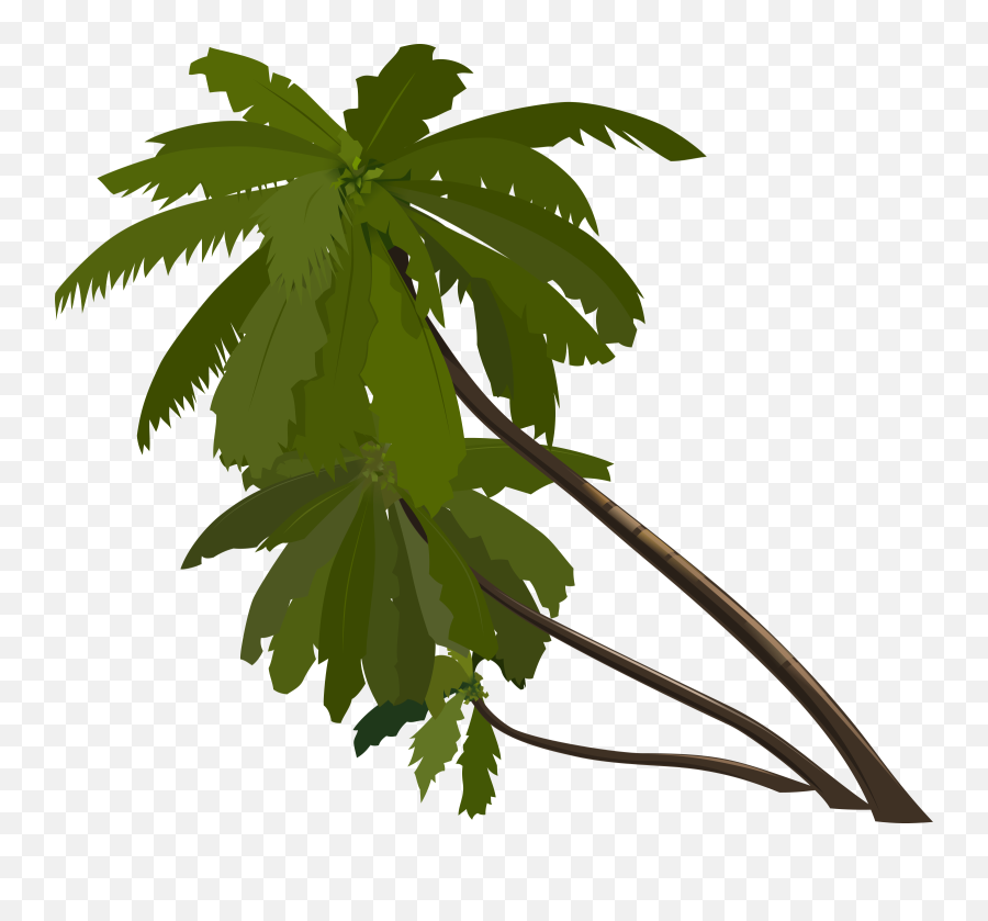 Palm Tree Png Image - Palm Tree Clip Art Emoji,Palm Tree Png