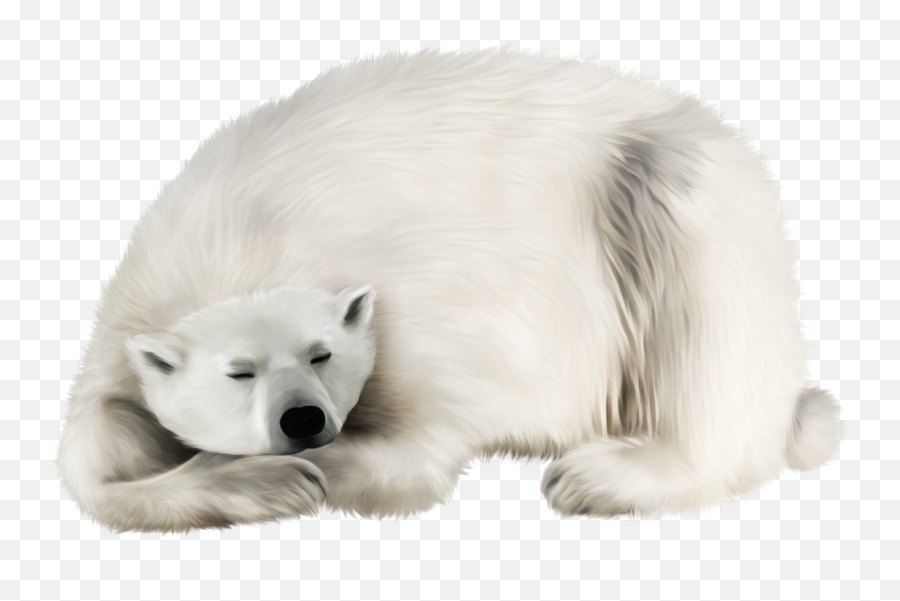 Png Images Polar Bear - Snow Bear Png Emoji,Polar Bear Png