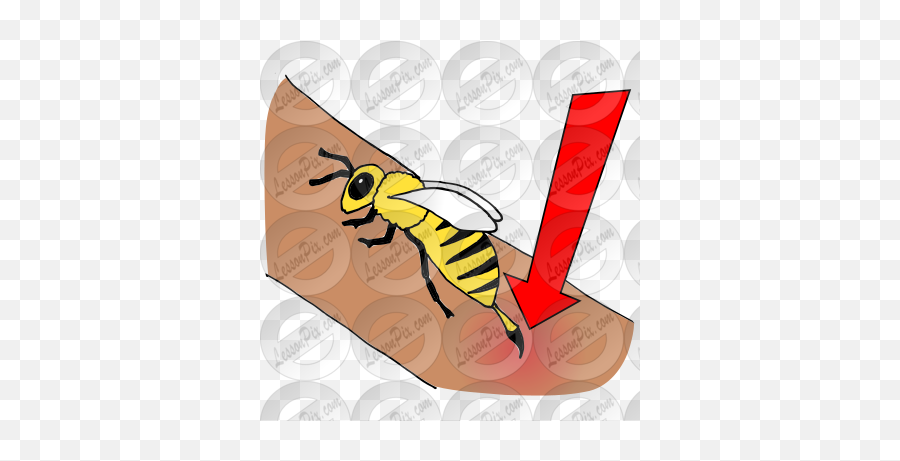 Bee Sting Picture For Classroom Therapy Use - Great Bee Parasitism Emoji,Hornet Clipart