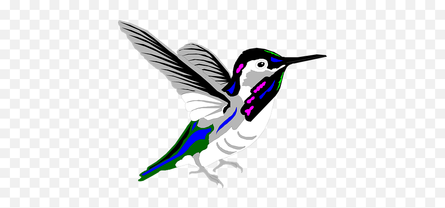 Over 50 Free Hummingbird Vectors - Hummingbirds Emoji,Hummingbird Clipart Black And White