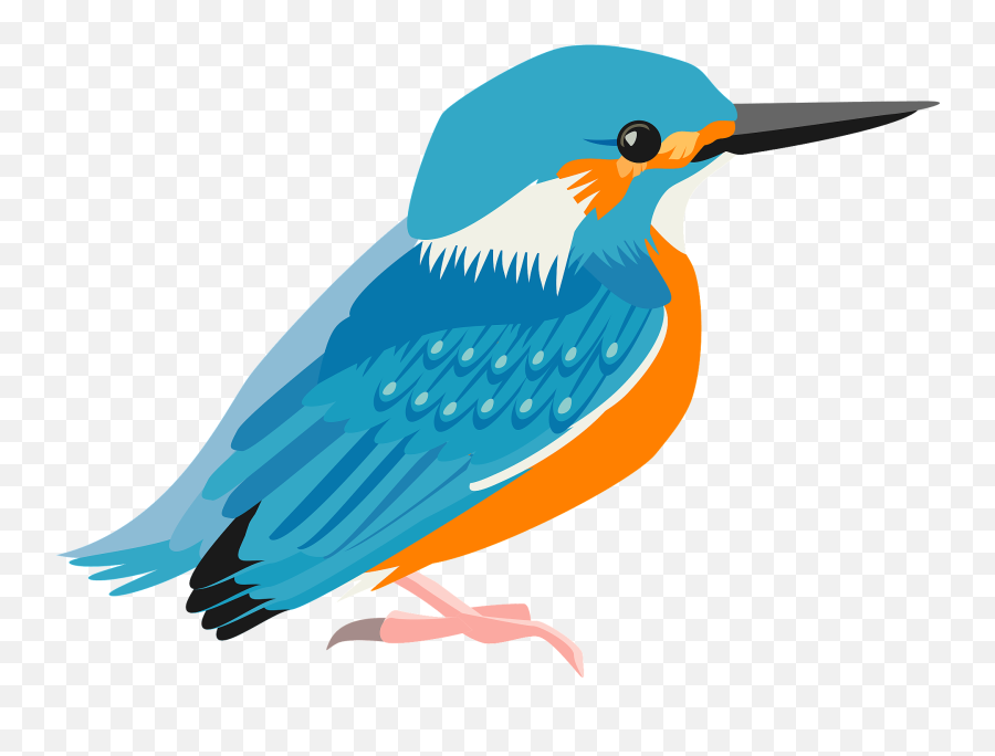 Common Kingfisher Bird Clipart - Clipart Images Of Bird Emoji,Bird Clipart