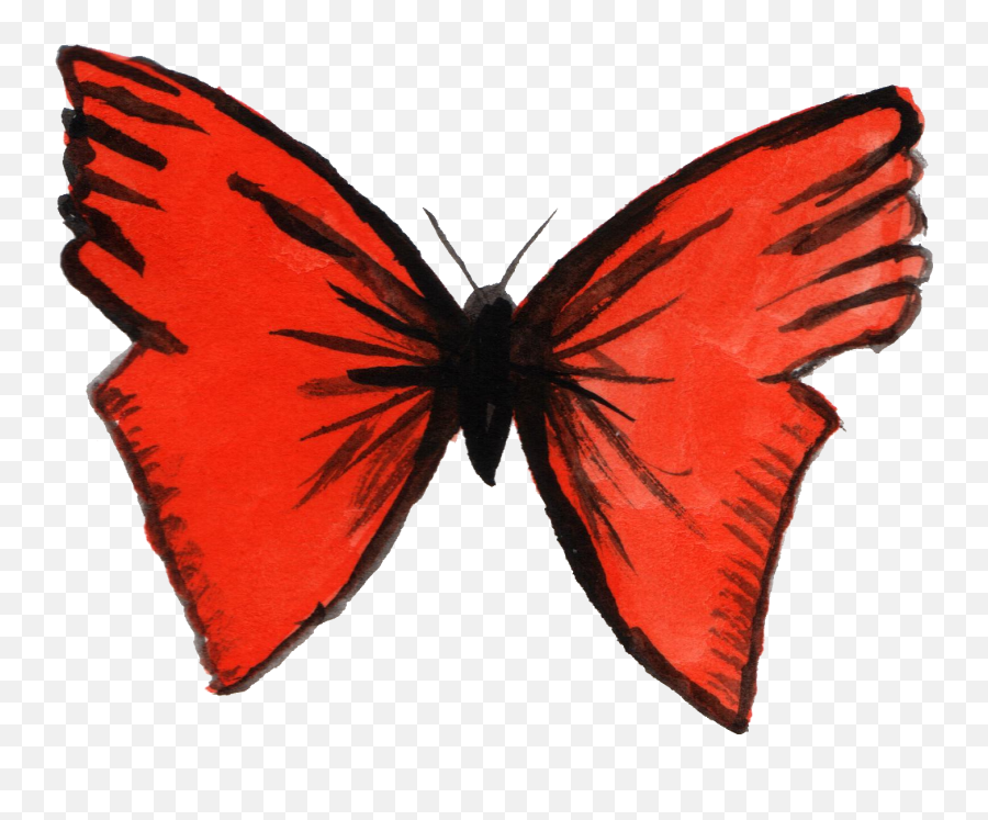 Download Watercolor Butterfly Png Picture Free Stock Emoji,Watercolor Butterfly Png