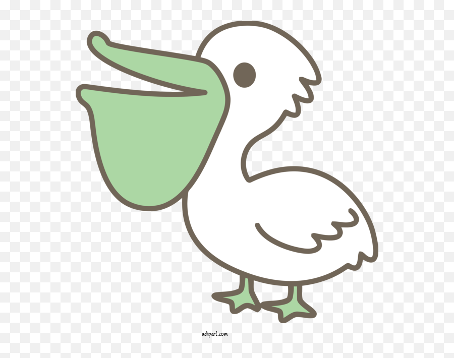 Animals Bird Cartoon Beak For Bird - Cartoon Transparent Pelican Emoji,Transparent Animals