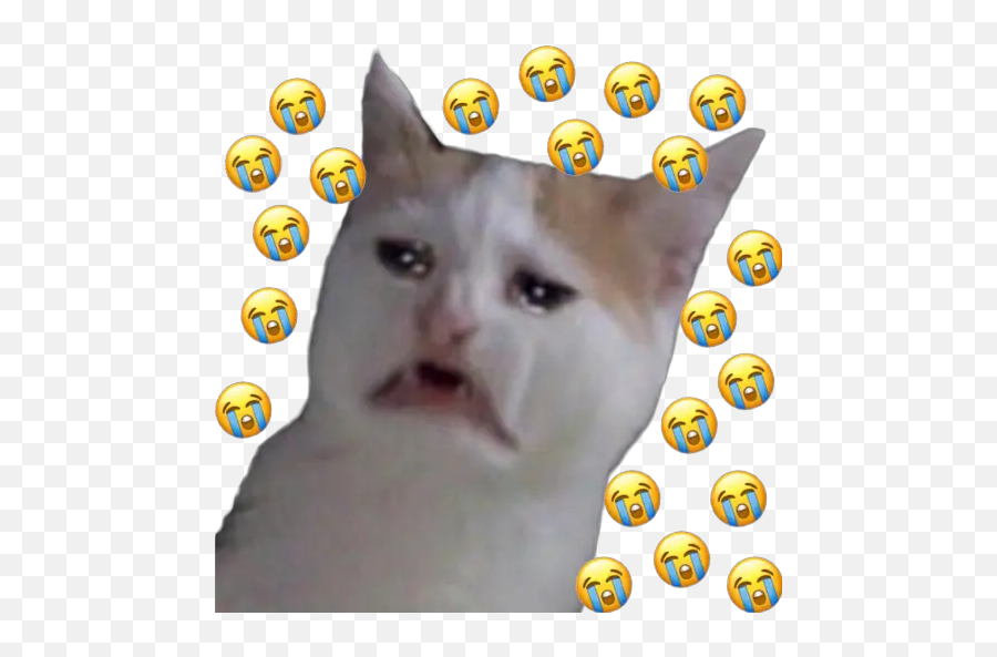 Gatitos Sad Emoji,Crying Cat Transparent
