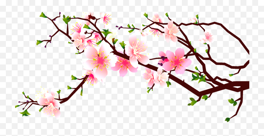 Cherry Blossom Peach Clip Art - Transparent Background Japanese Cherry Blossom Clipart Emoji,Cherry Blossom Clipart