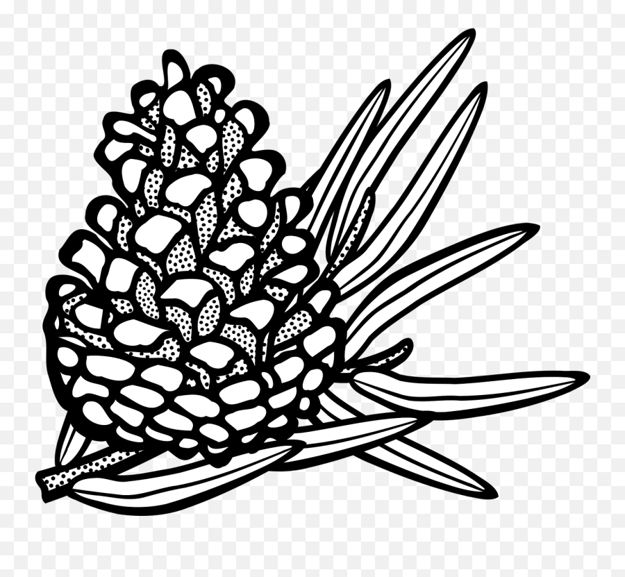 Vector Graphicsfree Pictures - Pine Cone Clipart Black And White Pine Cone Clipart Png Emoji,Cone Clipart