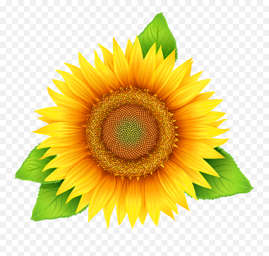 Sunflower Clip Art At Vector - Sunflower With Leaves Clipart Emoji,Sunflower Clipart