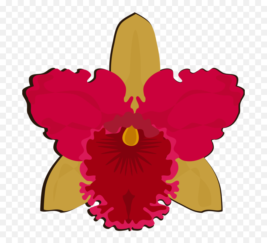 Pinkplantflower Png Clipart - Royalty Free Svg Png Easy Cattleya Orchid Drawing Emoji,Orchid Clipart