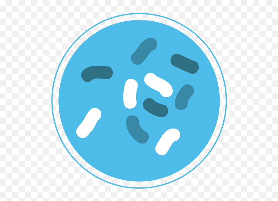 Download Bacteria Png - Bacteria Png Emoji,Bacteria Png