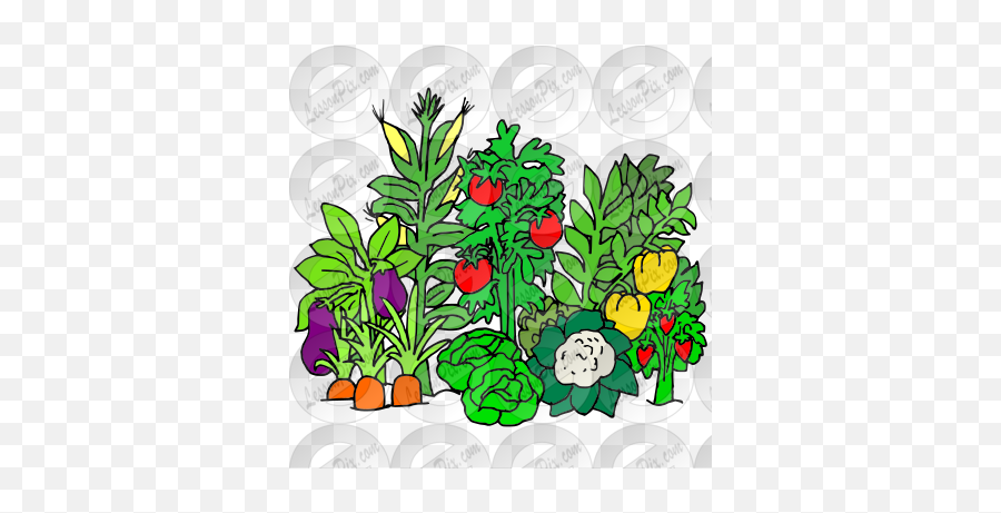 Vegetable Garden Picture For Classroom Emoji,Vegetable Garden Clipart