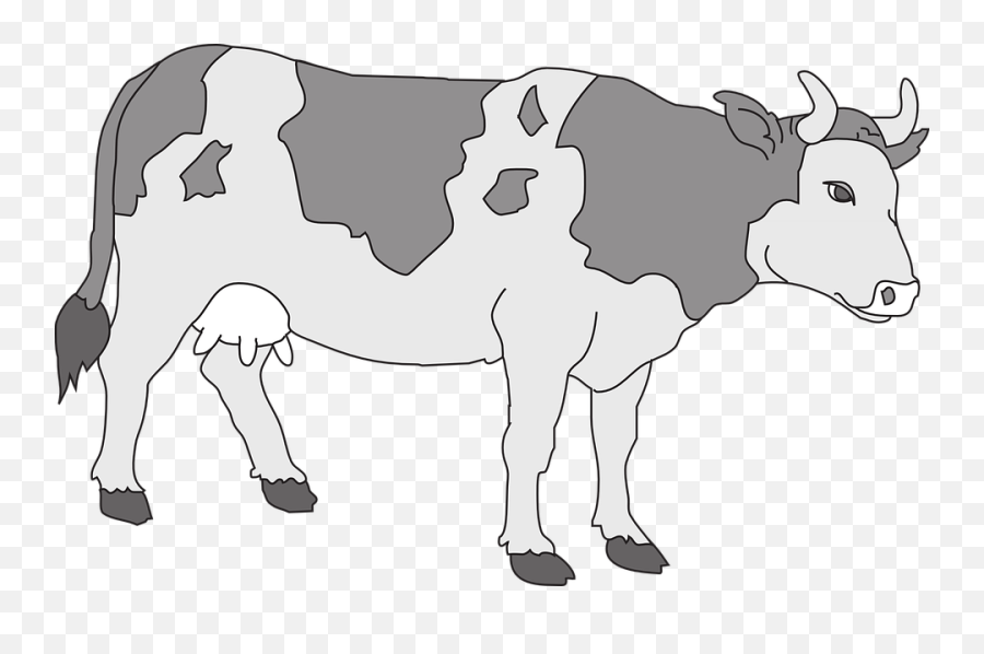 Cow Clip Art Downloadclipart Org - Gray Cow Clipart Emoji,Cow Clipart