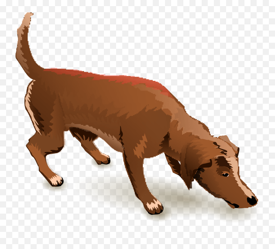 Sniffing Dog Clipart Free Download Transparent Png Creazilla - Dog Sniffing Clipart Transparent Background Emoji,Dog Transparent Background