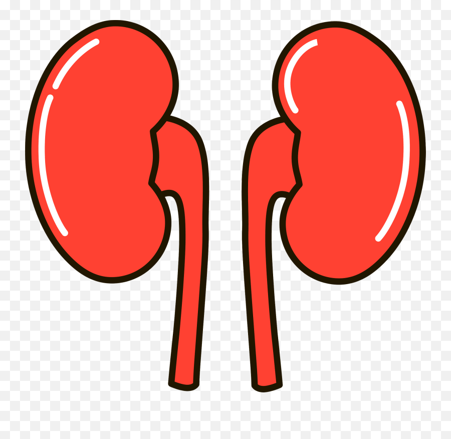 Kidney Clipart - Dot Emoji,Kidney Clipart