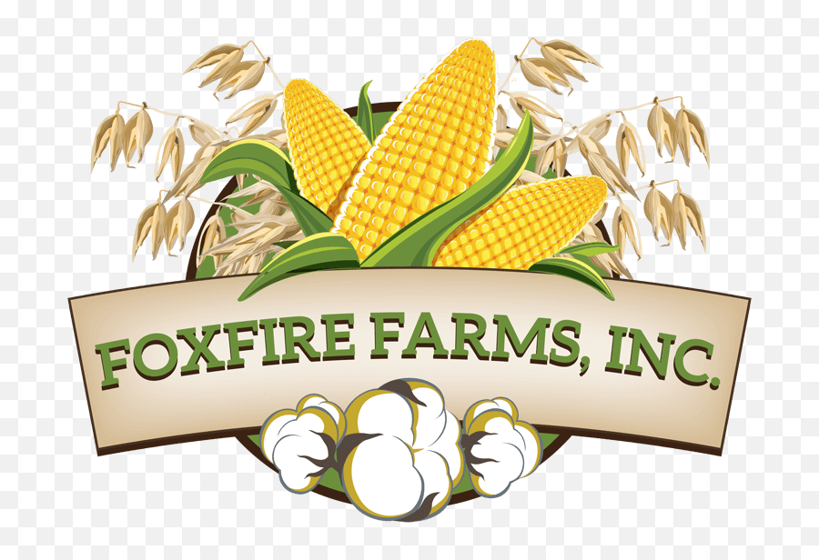Logo Design - Ranch House Designs Cattle Livestock Corn On The Cob Emoji,Logo Ideas
