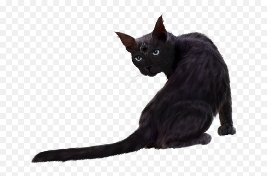 Black Cat Png Clipart 1 - Black Cat Png Hd Emoji,Black Cat Clipart