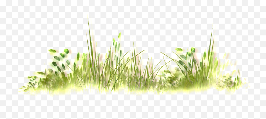 Download Wild Grass Thick Transparent Emoji,Wild Grass Png