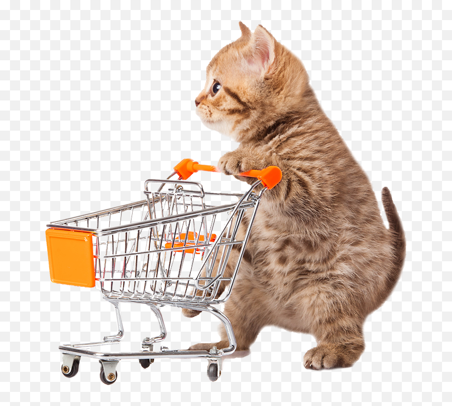 Thrift Shop Whatcom Humane Society Emoji,Shopping Png