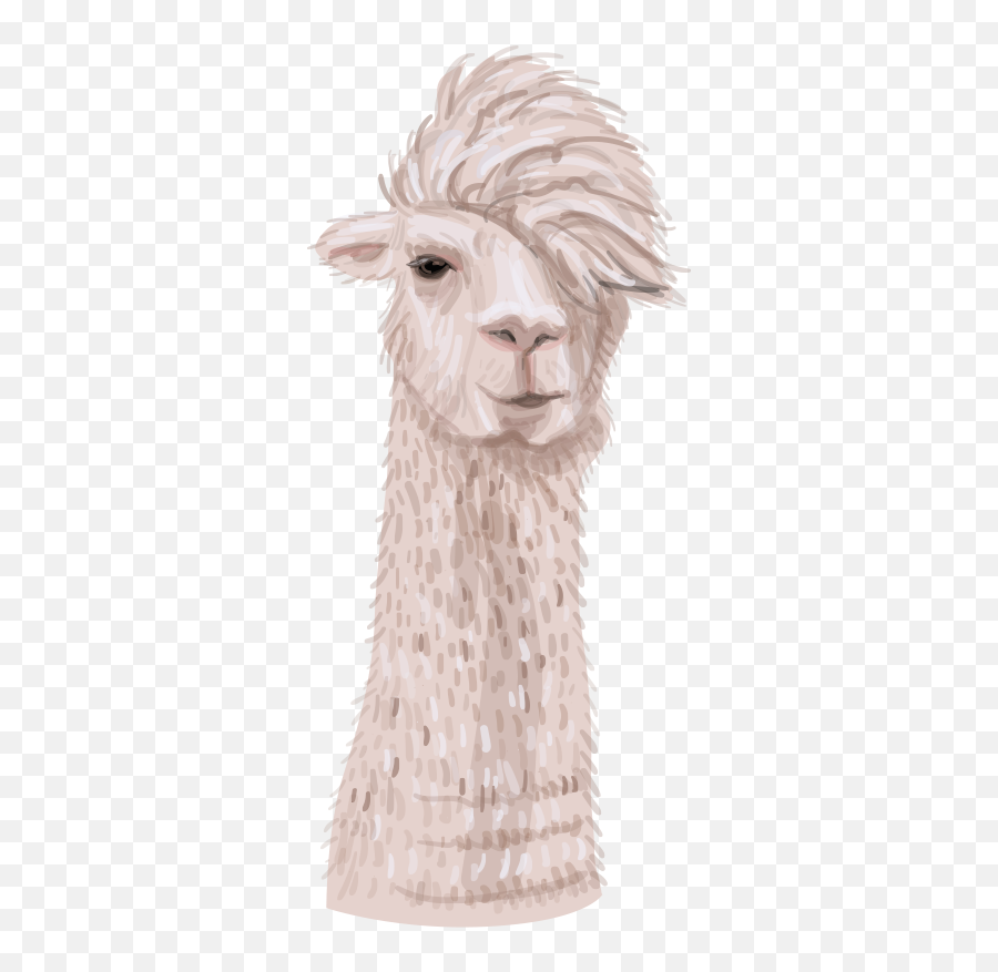 Realistic Alpaca For Kids Animal Wall Sticker - Tenstickers Emoji,Llama Head Clipart
