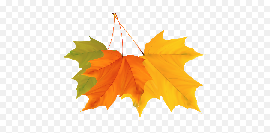 Download Autumn Vector Leaf Free Transparent Image Hq Hq Png Emoji,Leaf Vector Png