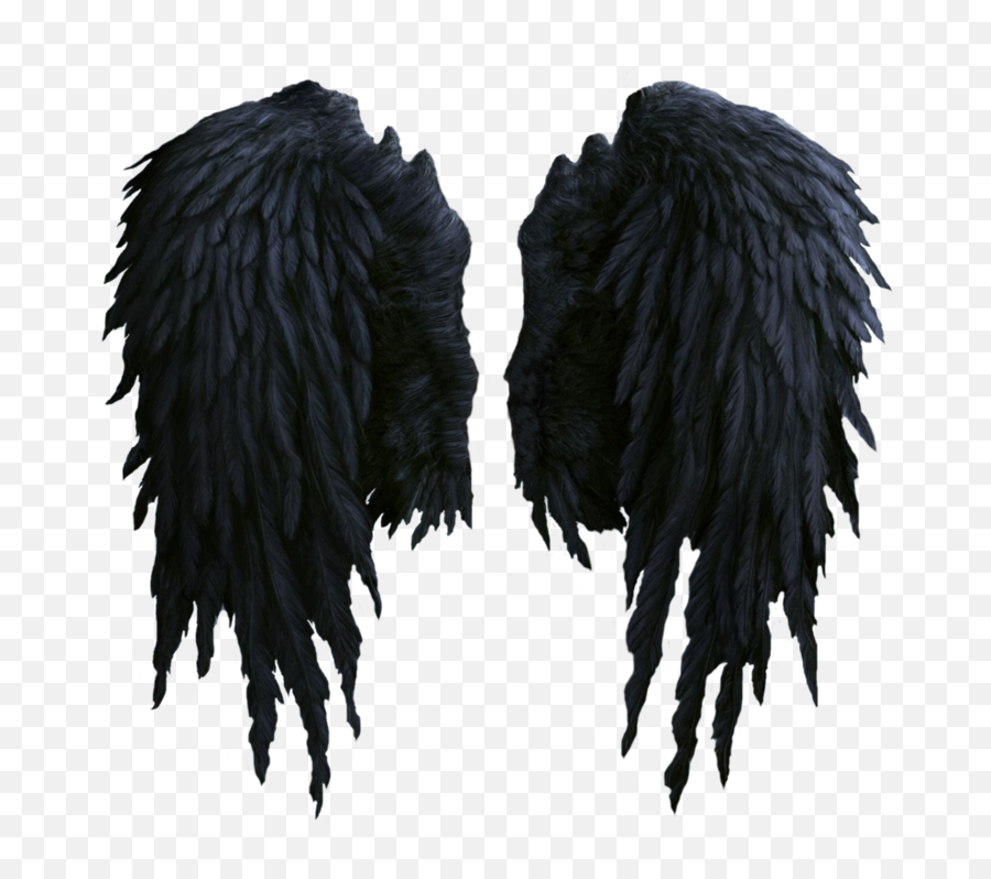 Picture - Black Angel Wings Transparent Background Emoji,Angel Wings Png