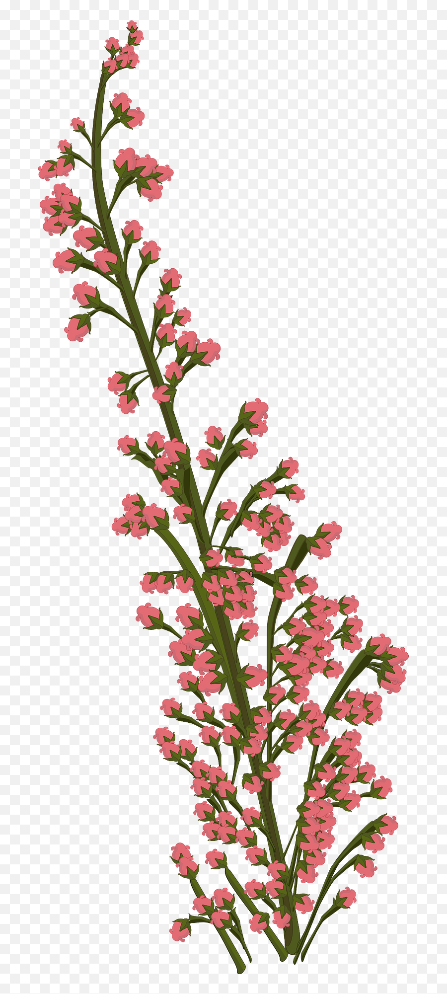 Pink Flower Clipart Free Download Transparent Png Creazilla - Dessin Plante Et Fleur Emoji,Pink Flower Clipart