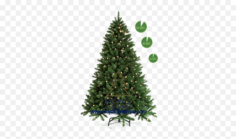 Royal Christmas - 1 Minute Tree Line 1 Minute Artificial Christmas Day Emoji,Treeline Png