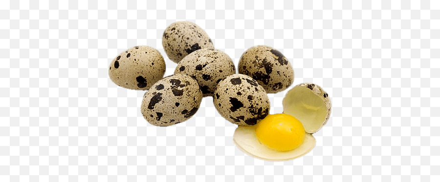 Download Quail Eggs Png - Transparent Background Quail Eggs Png Emoji,Egg Png