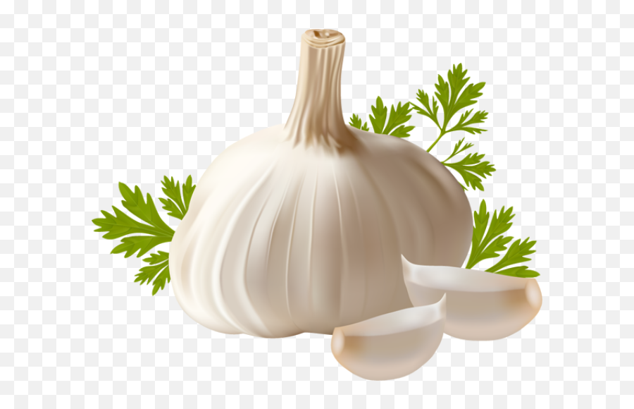 Free Garlic Cliparts Png Images - Garlic Png Emoji,Garlic Clipart