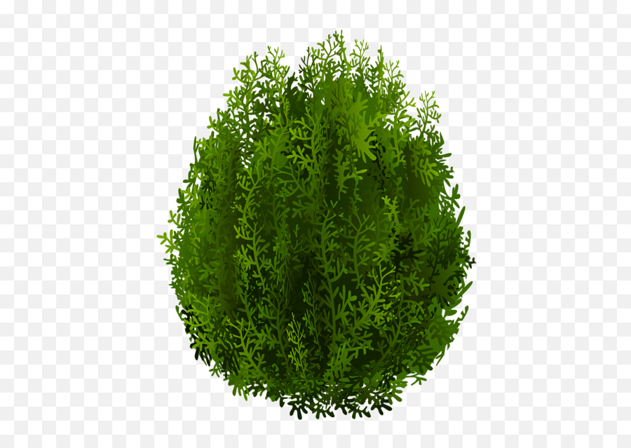 Tree Png - Vertical Emoji,Plants Png