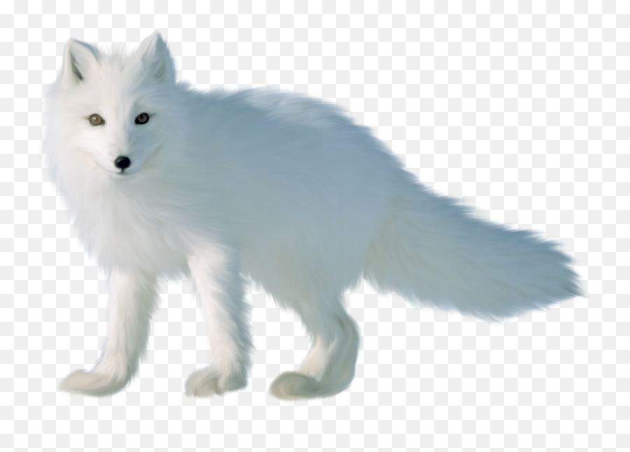 Arctic Fox Png Image With Transparent - Arctic Fox Emoji,Fox Png