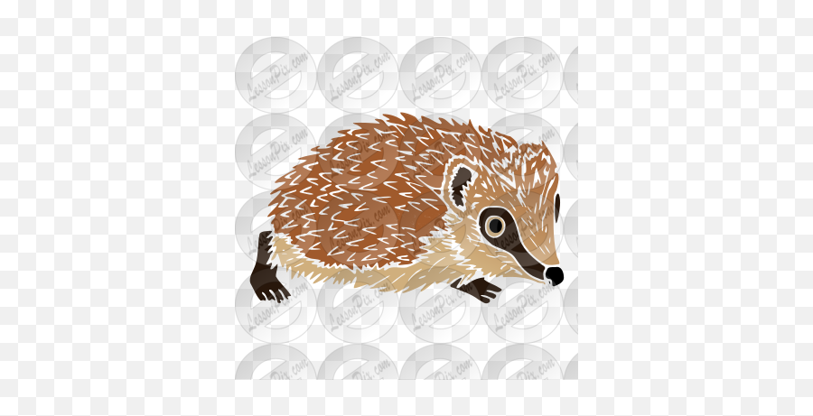 Hedgehog Stencil For Classroom - Domesticated Hedgehog Emoji,Hedgehog Clipart