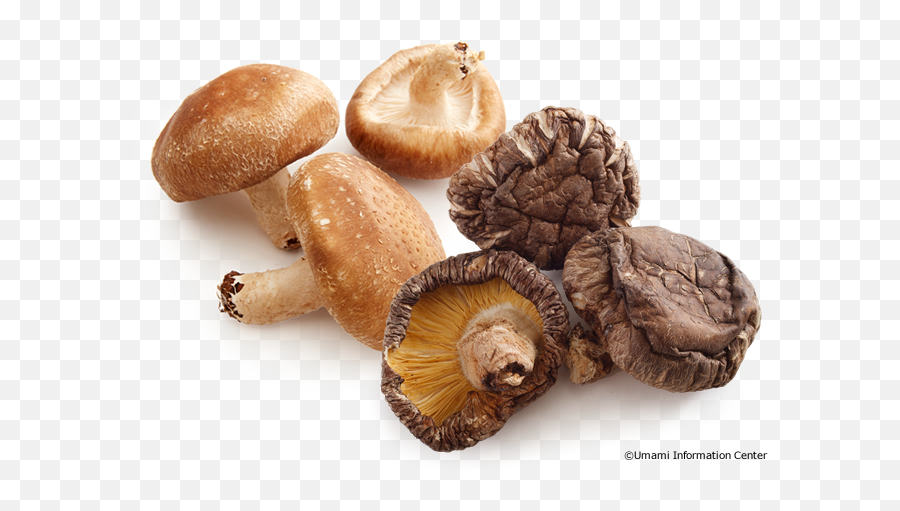Mushrooms Umami Information Center Emoji,Mushroom Head Logo