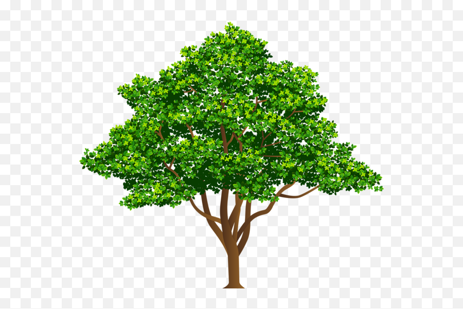 Tree Png Images Transparent Background - Vertical Emoji,Tree Transparent