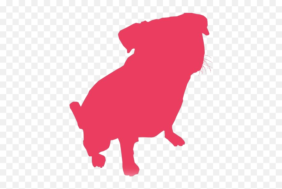 Transparent Puppy Pug Png Vector Pngimagespics Emoji,Pug Clipart
