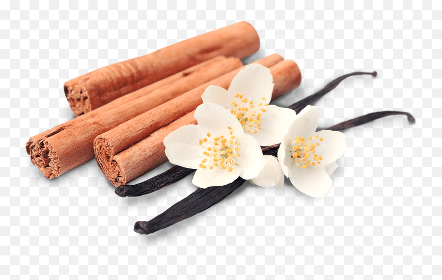 Cinnamon Vanilla - Vanilla Cinnamon Emoji,Cinnamon Png