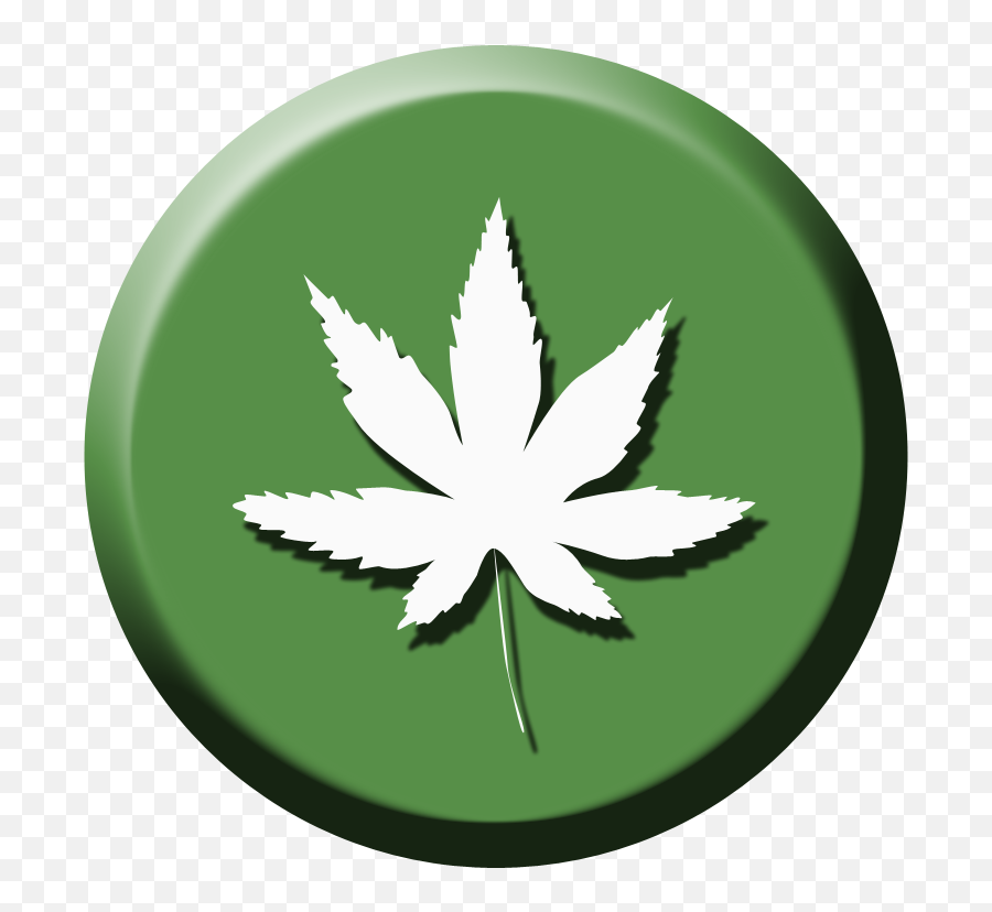 Cannabis Frequently Asked Questions Faqs - Marijuana Leaf In Circle Png Emoji,Pot Leaf Png