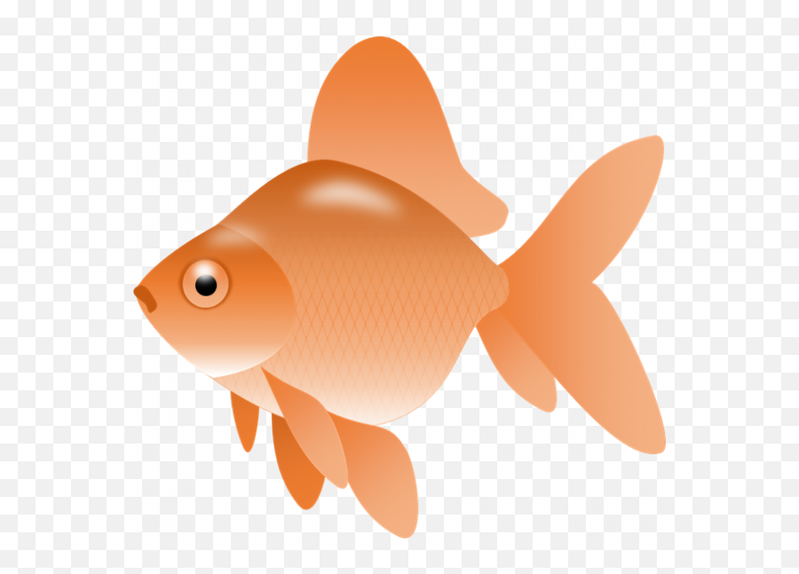 Gold Fish Clipart Transparent Images U2013 Free Png Images - Transparent Background Fish Clipart Emoji,Fish Clipart