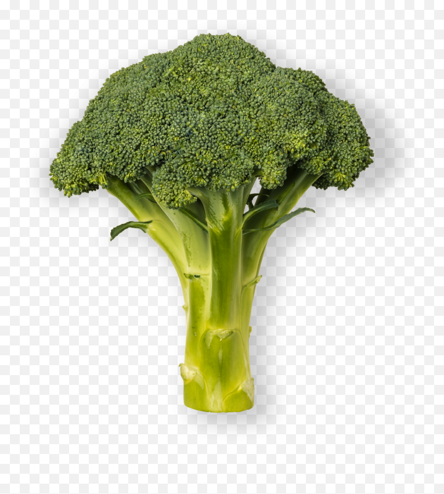 Download Hd Brócoli - Broccoli Transparent Png Image 1 Broccoli Emoji,Broccoli Png
