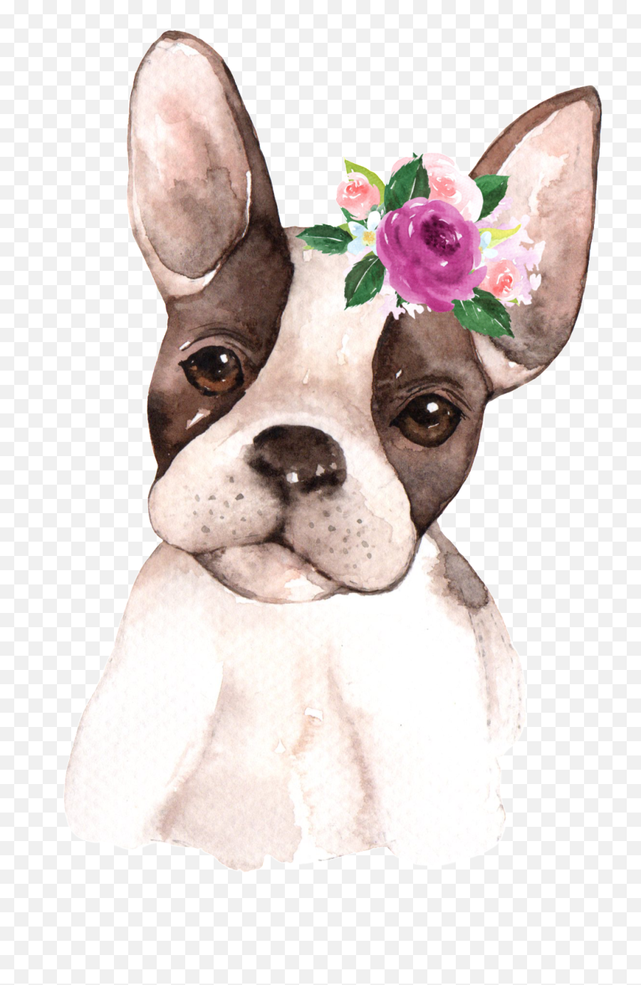 Download Hand Painted Starling Pet Dog - Dog July 2021 Calendar Emoji,Transparent Animals