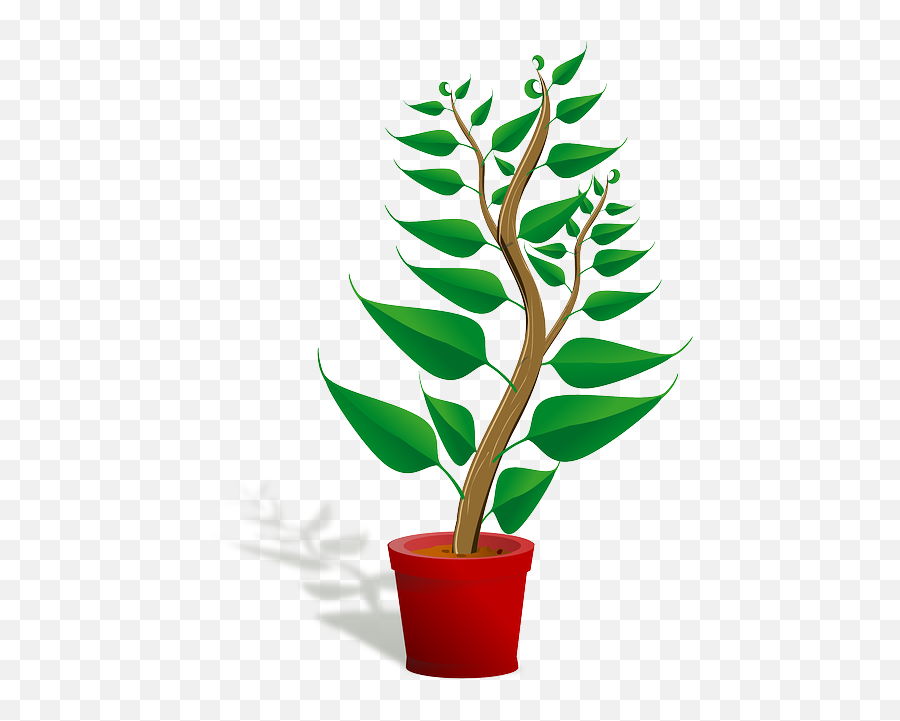 Free Photo House Plants Plant Flowerpot Emoji,Potted Plant Transparent Background