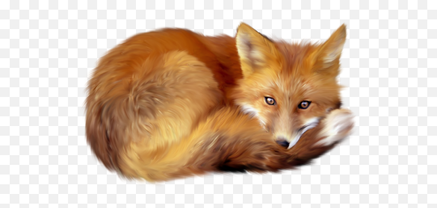 Fox Lying Down Transparent Png - Fox Sitting Lying Down Emoji,Fox Png