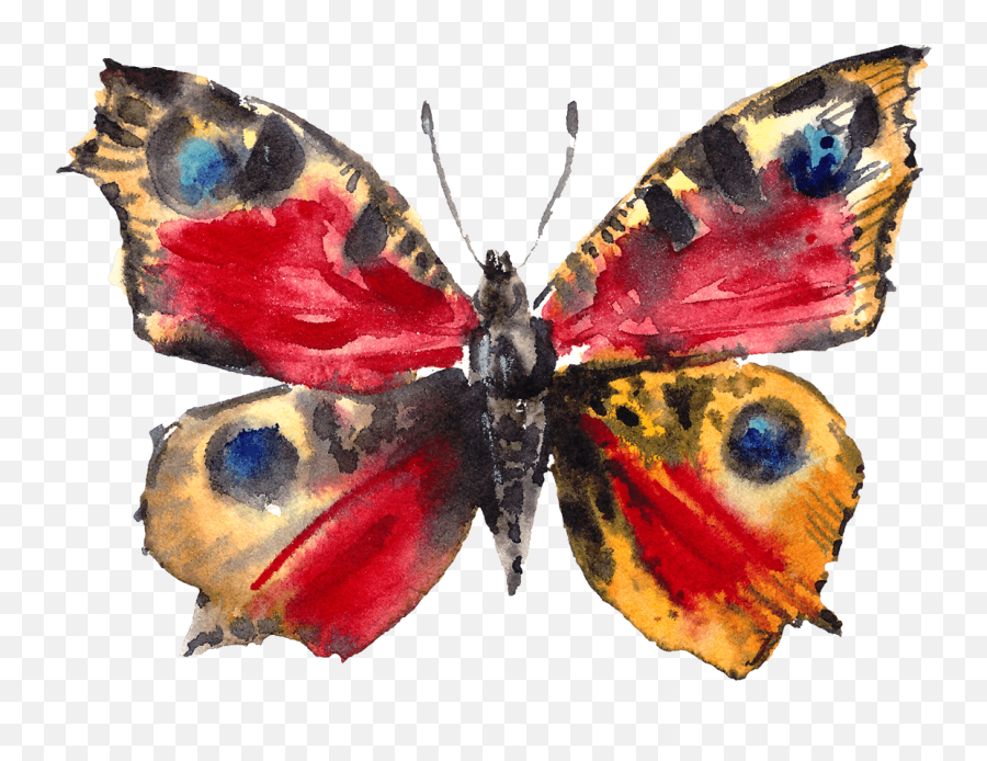 Watercolor Butterflies On Behance Emoji,Watercolor Butterfly Png