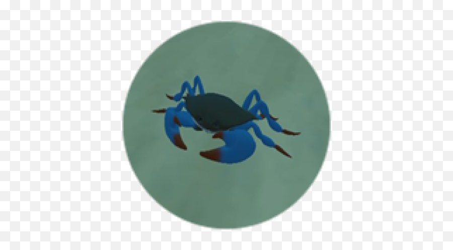 Atlantic Blue Crab - Roblox Emoji,Blue Crab Png