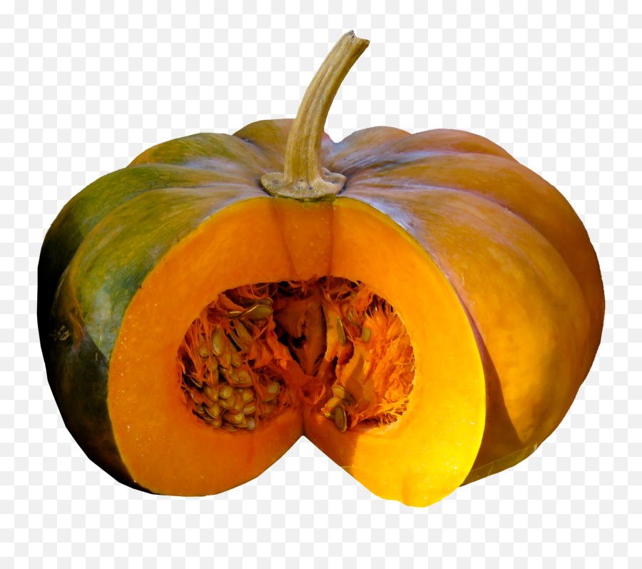 Eat Food Pumpkin Pumpkin Seeds Crop Summer Autumneat Emoji,Pumpkin Seeds Clipart