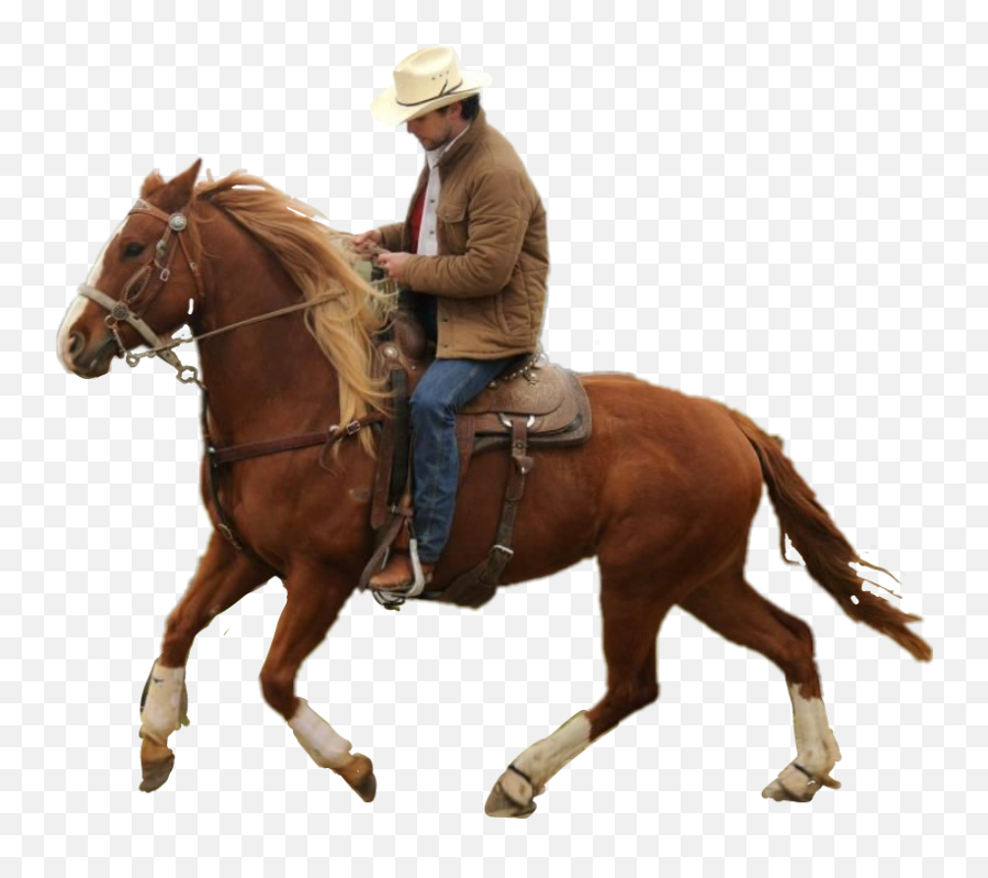 Cowboy Png - Horse Png Cowboy Farmer Riding A Horse Cowboy On Horse Transparent Emoji,Horse Png
