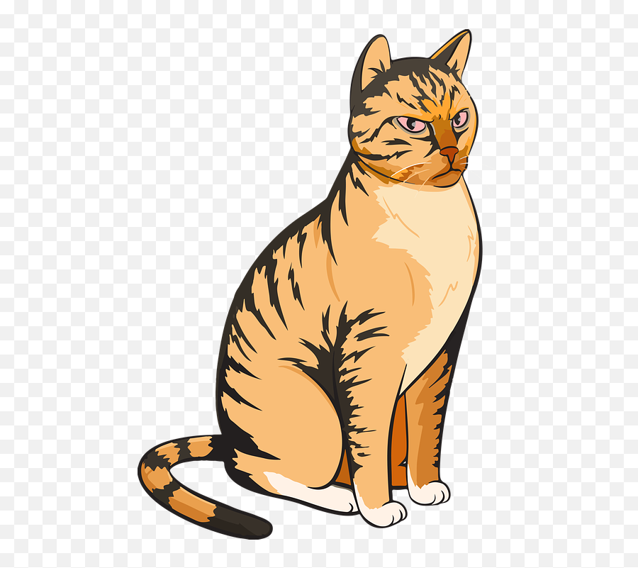 Cat Vector An Angry Cute Emoji,Angry Cat Png